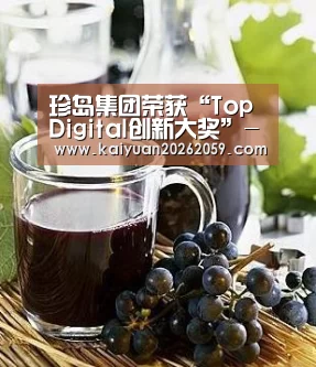 珍岛集团荣获“Top Digital创新大奖”-开元官方(图3) 开元官网