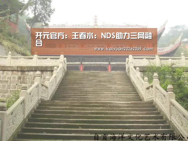 开元官方:王春水:NDS助力三网融合(图3) 开元赛事