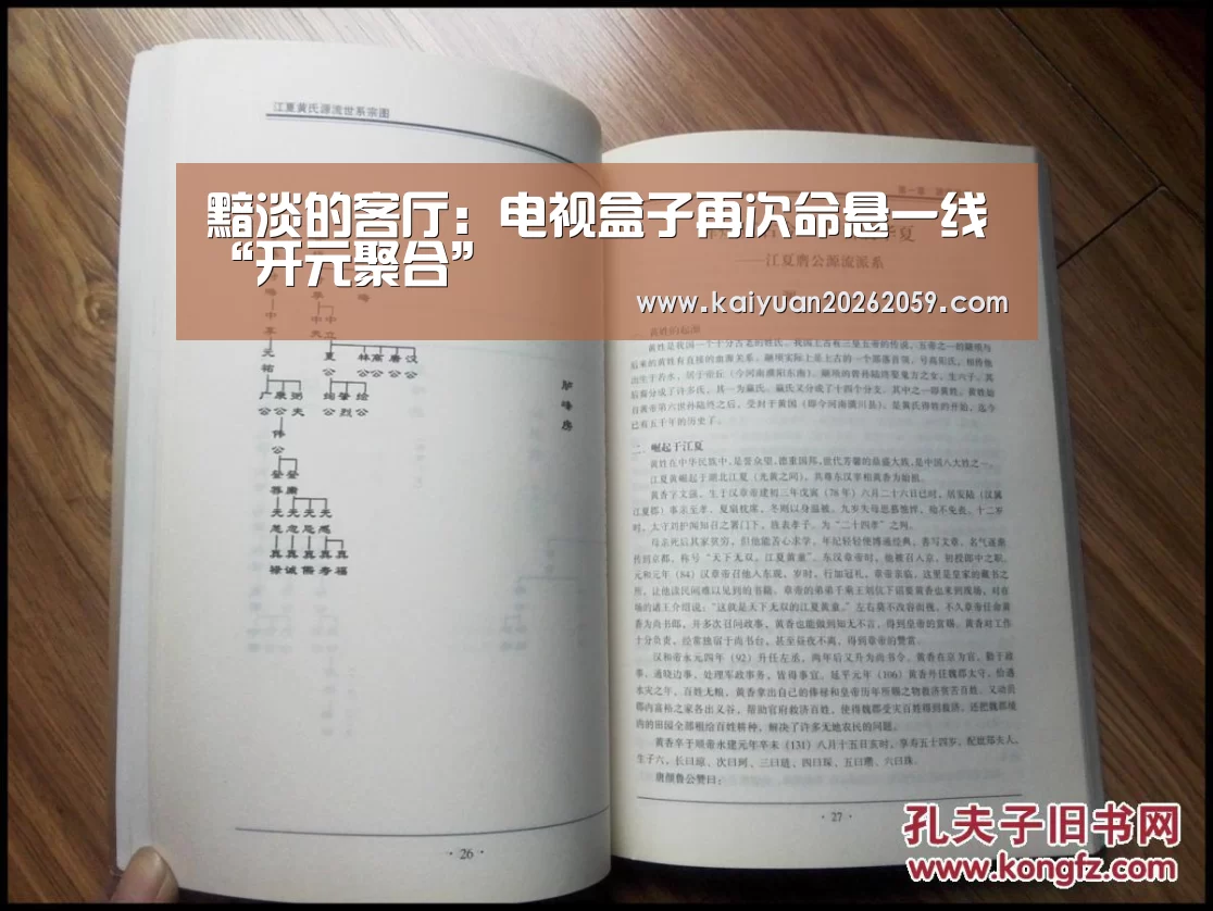 黯淡的客厅:电视盒子再次命悬一线“开元聚合”(图1) 开元官方