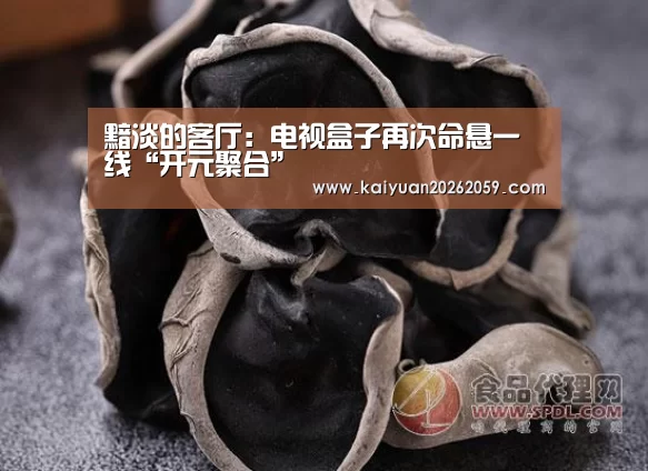 黯淡的客厅:电视盒子再次命悬一线“开元聚合”(图3) 开元官方
