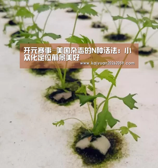 开元赛事-美国杂志的N种活法:小众化定位前景美好(图2) 开元官方