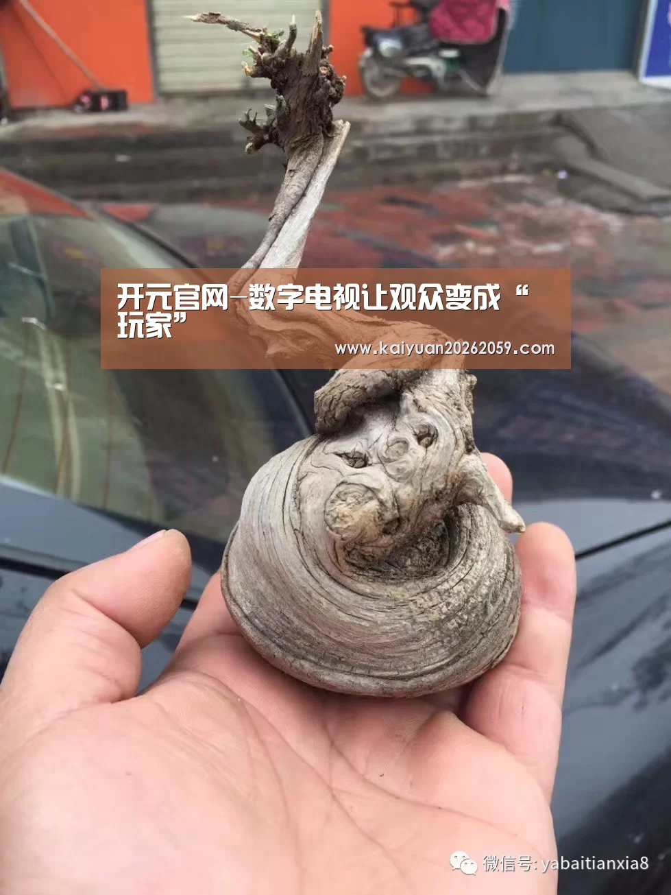 开元官网-数字电视让观众变成“玩家”(图3) 开元赛事