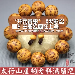 ‘开元赛事’《火影忍者》主题公园在上海设立 预计占地7000平方米(图3) 开元聚合