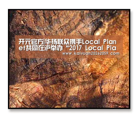 开元官方|华扬联众携手Local Planet共同在沪举办“2017 Local Planet全球峰会”(图2) 开元聚合