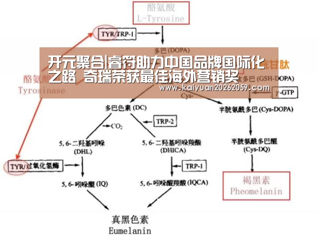 开元聚合|睿符助力中国品牌国际化之路 奇瑞荣获最佳海外营销奖(图3) 开元聚合
